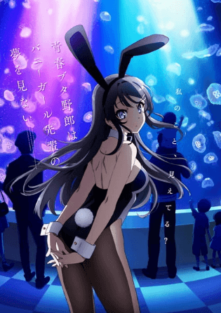 انمي Seishun Buta Yarou wa Bunny Girl Senpai no Yume wo Minai الحلقة 13 والاخيرة مترجمة