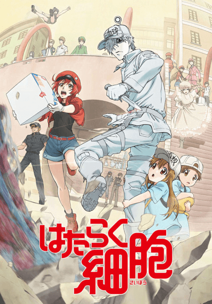 انمي Hataraku Saibou الحلقة 12 مترجمة